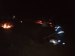 Dvě jednotky hasičů zasahovaly u požáru lesa