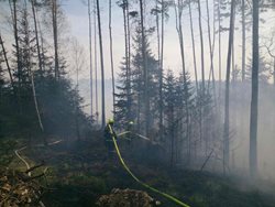 Požár lesa na Boskovicku
