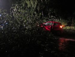 Strom spadl těsně před jedoucí automobil.