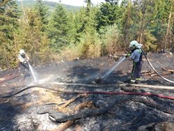 Požár lesa u Českého Krumlova o víkendu trval celou noc i následující den. 