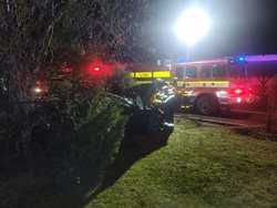 Po nárazu osobního vozidla do stromu museli hasiči vyprostit řidiče vozu
