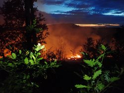 Požár oplocené lesní školky hasilo šest jednotek hasičů