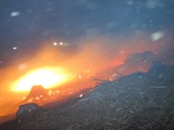  Hasiči ze Zlínského kraje celou noc zasahovali u rozsáhlého požáru lesní školky na Vsetínsku. 