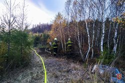 U požáru lesa zasahovalo sedm jednotek hasičů