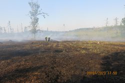 Při požáru lesa na Bruntálsku vyhlásili hasiči 2. stupeň poplachu