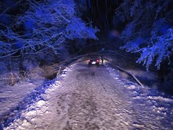 Ve Zlínském kraji těžký sníh lámal stromy a komplikoval dopravu