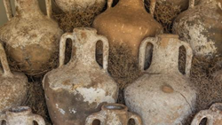 Egypt: 5000 <> let staré víno nalezené v Abydosu