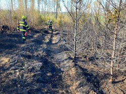 Druhý stupeň u požáru lesa u Slapska, byla vyžádáná mezikrajská výpomoc