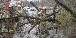 Přes Jižní Čechy se žene vichřice, hasiči evidují již více než 300 výjezdů