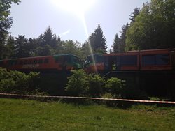  U obce Mříč na Českokrumlovsku se srazily dva vlaky, zranění utrpělo 14 osob. V jednom vlaku cestovala také skupina dětí z mateřské školy.