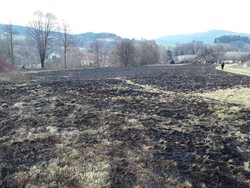 Oteplení sebou přináší nárůst požárů trávy a lesů i v Olomouckém kraji.