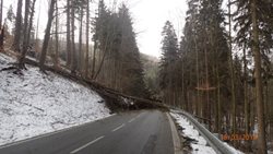 Hasiči v Moravskoslezském kraji už zasahují kvůli silnému větru 24 hodin