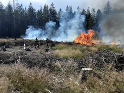 Požár lesního porostu u Kristinina Hrádku