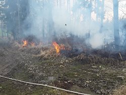 Požár lesního porostu na Olomoucku