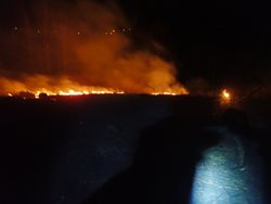 Tři lesní požáry v Moravskoslezském kraji hasilo v součtu 24 jednotek hasičů