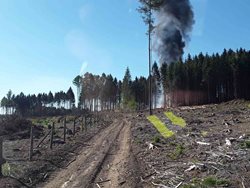 Hořel harvestor a les, na místě zasahovaly čtyři jednotky