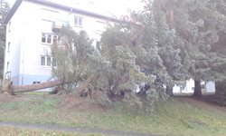 Hasiči v Plzeňském kraji vyjížděli kvůli silnému větru  a sněžení k popadaným stromům a utrženým střešním plechům.