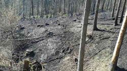 Požár lesa u Oslavan na Brněnsku hasil vrtulník