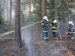 Úder blesku způsobil požár lesní hrabanky u Hřenska