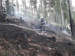Hned dva požáry lesů likvidovali hasiči u Městečka Trnávky