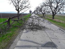 V neděli silný vítr řádil v Olomouckém kraji. Přinášíme průběh zásahů a sumarizace výjezdů.