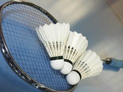 Badmintonový turnaj jako příprava na nadcházející mistrovství