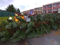AKTUALIZACE 4. V Kraji  Vysočina  hasiči v terénu neustále odstraňují popadané stromy