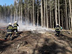 U Hrotovic hořel les, na místě zasahovaly čtyři jednotky hasičů