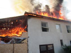 Při požáru střechy domu ve Fryštáku v místní části Vítová na Zlínsku zachraňovali hasiči i papoušky