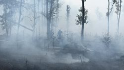 Šest jednotek likviduje požár lesa v katastru obce Dolany, za Horní Boudou.VIDEO
