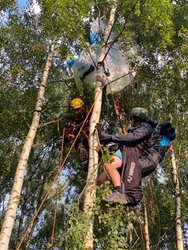 Záchrana Paraglidisty z korun stromů