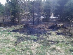  Požár lesa na Havlíčkobrodsku zanechal škodu 5 tisíc korun