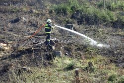 S požárem lesního porostu v Mostech u Jablunkova pomáhali i slovenští hasiči