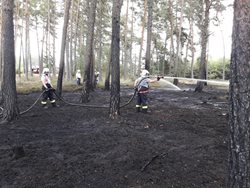 Na Rakovnicku hořel les po zásahu bleskem