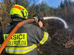 Rozsáhlý požár lesa v Otaslavicích na Prostějovsku/VIDEO