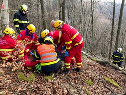 Hasiči spolupracovali se zdravotníky při záchraně muže z lesa u Oder