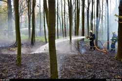 Požár listí v ostravském Bělském lese zaměstnal tři hasičské jednotky