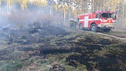 Jednotky z Šumavy zasahovaly u požáru lesního porostu