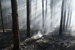 Požár lesa v CHKO Kokořínsko – Máchův kraj