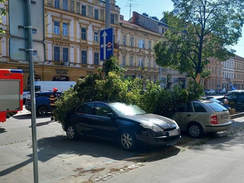 Vítr lámal stromy. Hasiči měli v Jihomoravském kraji plné ruce práce