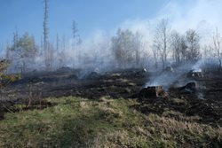 Přichází sucho, moravskoslezští hasiči likvidovali tři větší požáry v přírodě