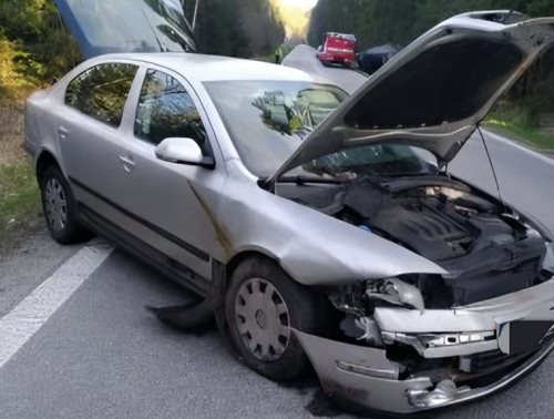 Náraz po střetu se zvěří způsobil převrácení nákladního vozidla