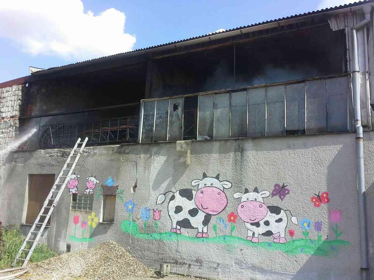 slama-(1).jpg slama-(1).jpg