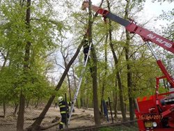 Hasiči zasahovali v brněnské ZOO