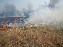 Počty požárů trav v Jižních Čechách rostou