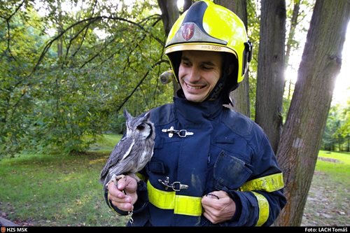 Moravskoslezští hasiči zachraňovali exotickou sovu