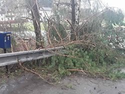 Vysočinu zasáhl silný vítr, hasiči odstraňovali popadané stromy