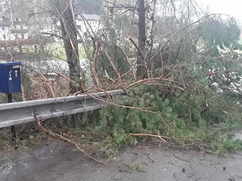 Vysočinu zasáhl silný vítr, hasiči odstraňovali popadané stromy