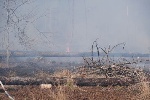 Požár 18 hektarů lesního porostu na Bruntálsku zaměstnal hasiče na 9 hodin
