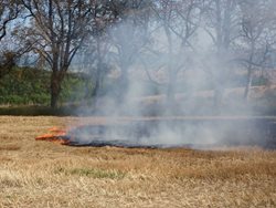 Příprava ohniště pro pálení odpadu skončila požárem strniště u kterého zasahovaly čtyři  jednotky hasičů.  